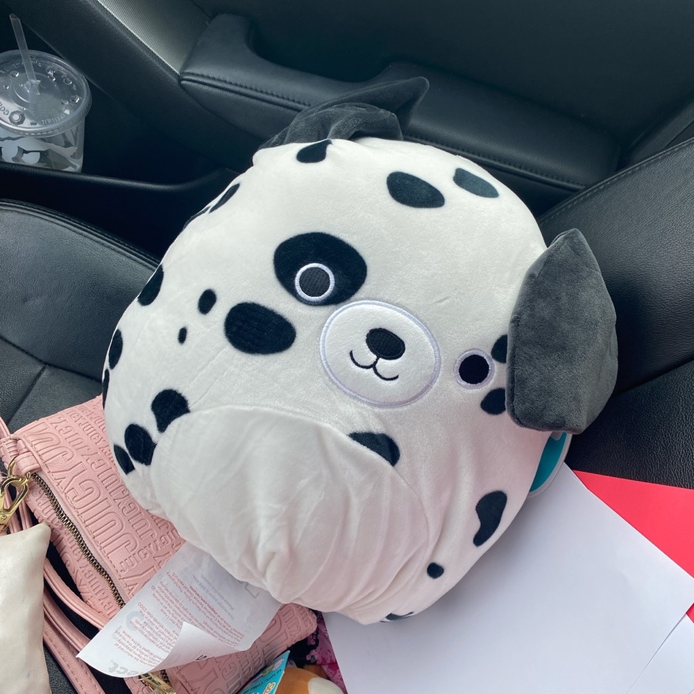Dustin the Dalmatian